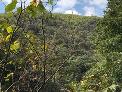 -藏龙百瀑风景区