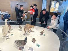 -漩门湾国家湿地公园