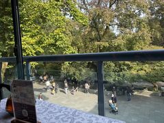 -山外山菜馆(玉泉路店)