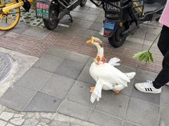 -上海市普陀区中心医院