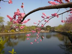 -无锡蠡湖国家湿地公园-蠡园