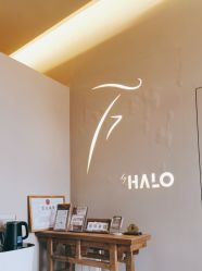 -Halo FLY运动空间