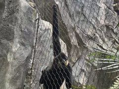 -武汉动物园