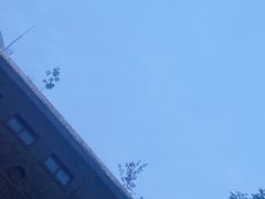 -云海肴·云南小炒·汽锅鸡(天津国金汇店)