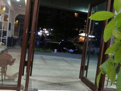 -杨家火锅(国美店)