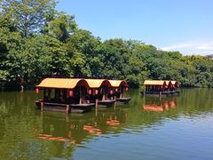 -荔湾湖公园