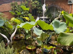 -园林美食城·本土农家菜(杨和镇店)