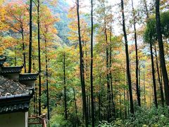 -藏龙百瀑风景区