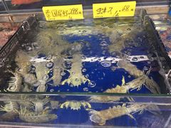 -四海之家(蛇口店)