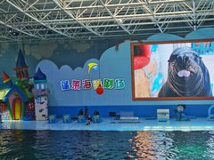 -烟台海昌鲸鲨海洋公园