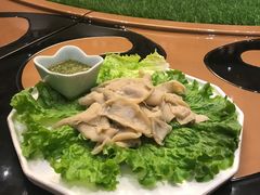 -蒙古人烹羊专家(东风大街店)