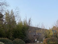 -竹林寺