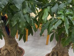 -真利味·脊骨火锅·正宗韩国料理(韩乐坊店)