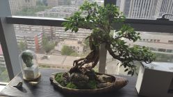 -北京米扬丽格医疗美容·联合丽格鼻整形中心