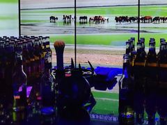 -温莎KTV(珠江路店)