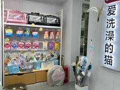 -爱洗澡的猫(望京店)