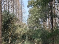 -同里国家湿地公园
