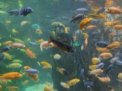 -太平洋海底世界