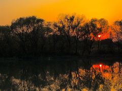 -西溪国家湿地公园