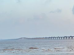 -南汇新城海滩