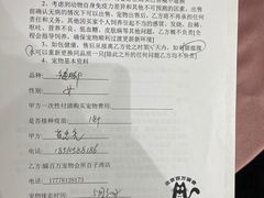 -喵百万·布偶·蓝金金渐层英短·猫舍(百子湾店)