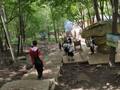 -帽儿山风景区
