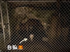 -杭州动物园