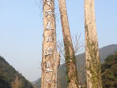 宁海森林温泉度假村-天明山温泉大酒店