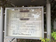 -什刹海