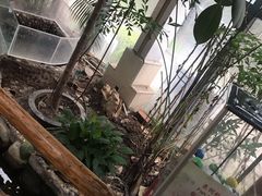 -上海大自然野生昆虫馆(东方明珠·爬宠昆虫探索中心)