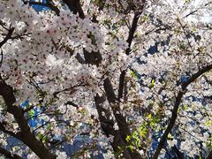 -江南大学(蠡湖校区)