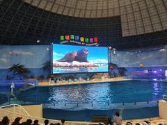 -泉城欧乐堡海洋极地世界