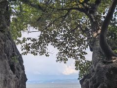 -抚仙湖禄充风景区