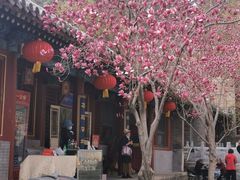 -潭柘寺景区