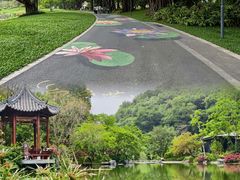 -云溪植物园