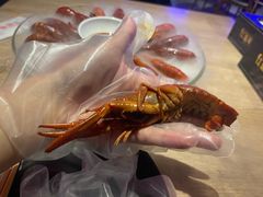 -红盔甲·小龙虾(车公庙店)