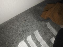 -海之蓝宾馆(苏州拙政园店)