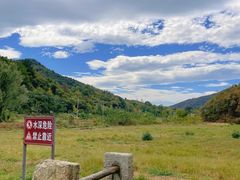 -千年银杏谷文化旅游区