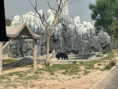 -太原动物园