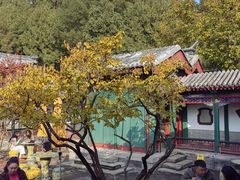 -宫事颐庭·老佛爷贵寿下午茶(颐和园店)