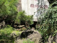 -白水寺森林公园