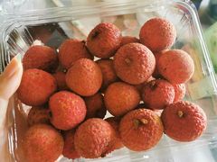 新鲜荔枝-杨果果(渝北店)