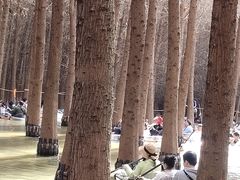 -捞渔河湿地公园