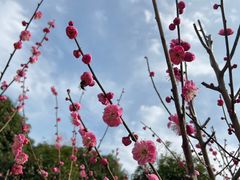 -梁鸿国家湿地公园