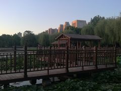 -裕华世纪公园