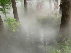 -东湖落雁景区