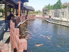 -董永七仙女文化园