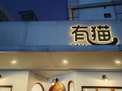 -有猫主题·治愈系猫咖(曾厝垵店)
