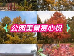 -黑龙江省森林植物园