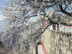 -圣莲山风景区
